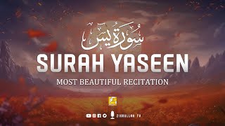 World's best recitation of Surah Yaseen - سورة يس ⋮ Healing Quran ⋮ Zikrullah TV