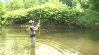 Supporting Environmental Stewardship Programs