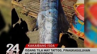 24 Oras: Isdang tila may tattoo, pinagkaguluhan ng mga residente