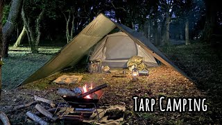 Tarp Camping タープ泊キャンプ 焚き火で焼き芋 ASMR