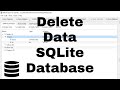 Delete Statements in SQLite - SQLite Tutorial - How to Delete Data