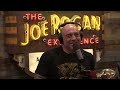 joe rogan paulo costas secret