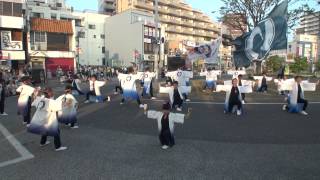 彩夏祭・2015年7月31日・朝霞駅東口会場・naruko dance team 【いぶき】