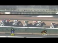 2012年12月22日（土） 2歳新馬 サトノテイオウ