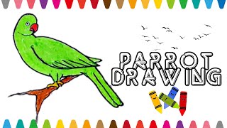 How to Draw a PARROT | Birds Drawing week| Crayons Drawing for kids | Coloring #drawing