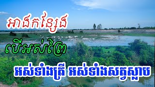 អាងកន្សែងតំបន់ស្ដុកទឹកថ្មីនៅខេត្តបន្ទាយមានជ័យ