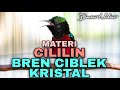 MASTERAN KOLIBRI NINJA GACOR FULL ISIAN BREN CIBLEK KRISTAL VS CILILIN TEMBAKAN ISTIMEWA BUAT KONIN