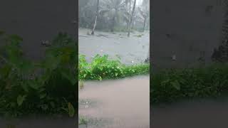 മഴവെള്ളം കൊണ്ട് നിറഞ്ഞേ 🌧️🌧️