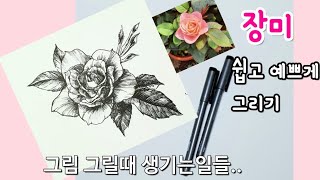 [펜드로잉]장미꽃그리기/그림 그릴때 내게 생긴일들