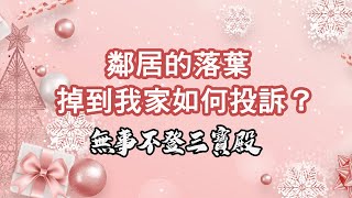 無事不登三寶殿 12/31/24 鄰居的落葉掉到我家如何投訴？