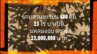 ขายสวนทุเรียน 400 ต้น 23 ไร่เศษ 23 ล้านบาท บางปิด แหลมงอบ ตราด  ID Line 0972530444