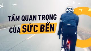 Sức bền là gì? Tại sao nó quan trọng ? | Happy.Live