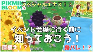 【初心者必見】普通のコミュニティデイとこんなに違うの？特別なコミュデイに参加する前に知っておきたい、4つの重要ポイント！！【ピクミンブルーム / Pikmin Bloom 】