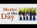 merlot a day chapman grove merlot