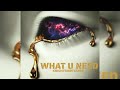 WHAT U NEED FT.KNIGHTSHREYANSH OFFICIAL VISUALIZER DIRBY-KRS90 OUT NOW PHASE-2 ECLIPSING A 100