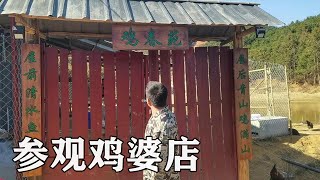 去鸡店参观，换来两只土鸡，哥俩晚上可以吃大餐了【螃爷Pang】