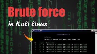 How to do Brute force in Kali Linux?