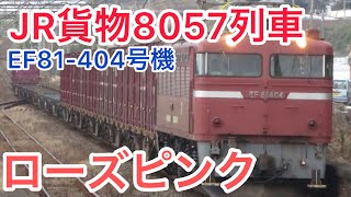 JR貨物8057列車EF81-404号機ローズピンク#知多半島の鉄道youtuber