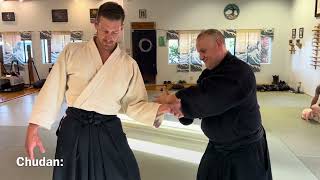 Aikido: Tesabaki Details for Beginners and Experts