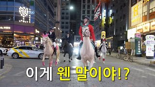 말 타고 번화가 I 찾아가는 승마 이벤트