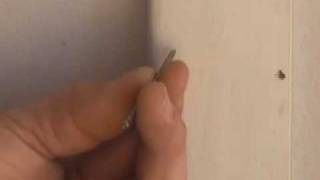 USING TRIM NAILS