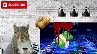 Happy Friday From Stock Squirrel! Jan 24th, 2025 - Stock Pre-Market QQQ SPY IBIT MAGS