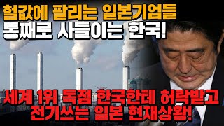 [경제] 헐값에 팔리는 일본기업들 통째로 사들이는 한국! 세계1위 독점 한국한테 허락받고 전기쓰는 일본 현재상황!!