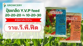 ปุ๋ยเกล็ด Y.V.P สูตร 20-20-20 กับ 10-20-30 จะเป็นยังไงไปดูครับ l GROWCERY