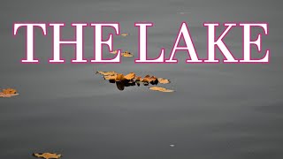 Fly Fishing for Trout \u0026 Pike on THE LAKE | The Lake of Menteith | Rainbow Trout | Esox Lucius