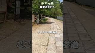 【東大寺】東大寺⑲　裏参道を行く　猫段からの裏参道　東大寺のすばらしさ　東大寺のすべてがわかる　＃Shorts 　奈良とびっきり観光ガイド東大寺　【奈良観光】