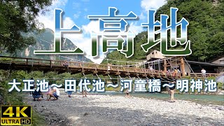 【絶景・上高地】青く澄んだ水と幻想的な森の中を歩きます。大正池 ～ 田代池 ～ 河童橋 ～ 明神池  4K