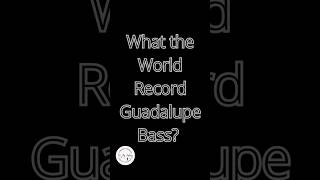 What is the World Record Guadalupe Bass?