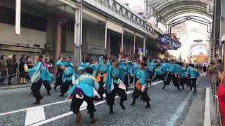 山口大学よさこいやっさん‼︎ 2017年 ぶち楽市民祭 練り歩き会場 ミルクムナリ