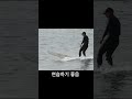 20241207 이호테우서핑 바다 surf