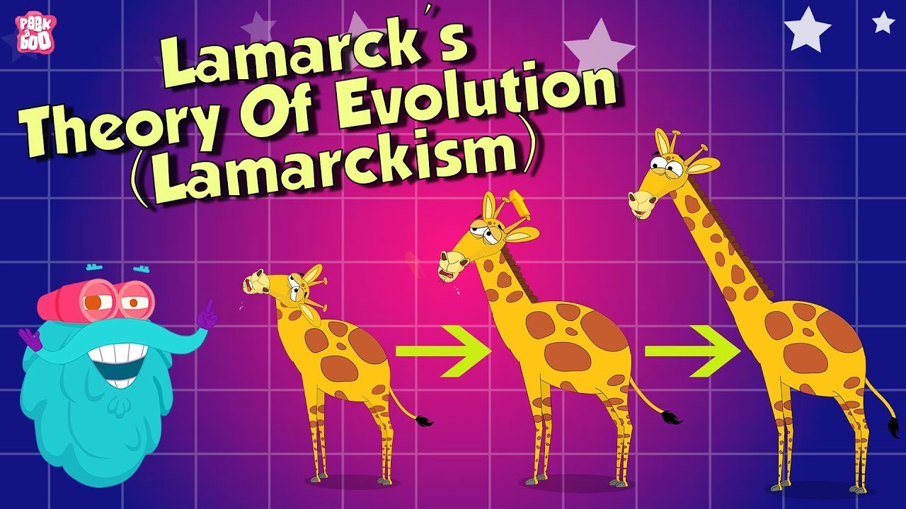 Know How You Evolved Theory Of Evolution The Dr Binocs Show Know How You Evolved Theory Of Evolution The Dr Binocs Show