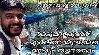 Fresh fish at your home | അടുക്കളമുറ്റത്ത് പോന്നു വിളയുന്ന മത്സ്യകൃഷി | വീട്ടുവളപ്പിലെ ഫ്രഷ്മീൻകൃഷി