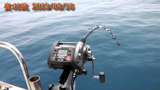 賓利號 20130816 船釣石斑 grouper fishing