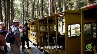 【秘境@台灣】宜蘭太平山 走全球最美小徑泡溫泉