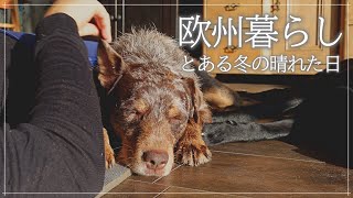 SUB【欧州暮らしVlog】とある冬の晴れた日│太陽光の大切さ│ロケットストーブ│わんことほのぼのゆる活│【Our sunny winter day】