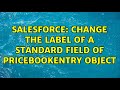 Salesforce: Change the label of a standard field of PriceBookEntry object