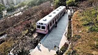 蛇口小南山櫻花列車 | 4K航拍看風景 | 一鏡到尾懶剪接