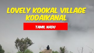 An solo travel escape to the Mystical valley of Kookal village | Kodaikanal vlog