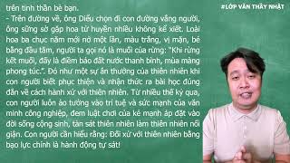 Muối của rừng - Ngữ văn 12 - Lớp văn thầy Nhật - Chương trình mới