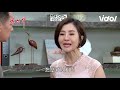 炮仔聲│ep378 amy陷害k董與家璇不合 把她推落橋下置於死地！ the sound of happiness│ vidol.tv