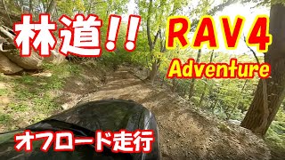 【新型RAV4】林道に突入！オフロード走行！！ ３６０度カメラ【Insta360 ONR R】による車載映像　ラブ４ アドベンチャー JAOS by モデリスタ　Adventure