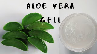 //Aloe Vera Gel//Perfect Homemade Aloe vera gel//കറ്റാർവാഴ ജെൽ ഇനി വീട്ടിൽ തന്നെ//