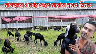 ছাগলের খামার শুরু করার প্রথম নিয়ম | The First Rule To Start a Goat Farm