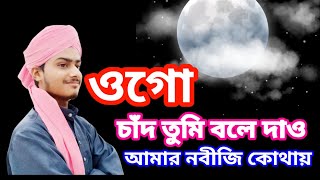 ওগো চাঁদ তুমি বলে দাও | Ogo Chand Tumi Bole Dao Amar Nabiji Kothay | Imran Raza Siliguri