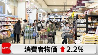 4月の全国消費者物価指数2.2％上昇　2カ月連続伸び率鈍化（2024年5月24日）