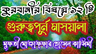 কুরবানীর বিষয়ে 12টি গুরুত্বপূর্ণ মাসয়ালা।